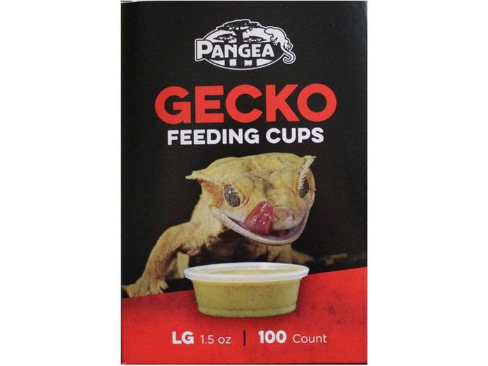 Pangea Large Gecko Feeding Cups - 100ct Pangea