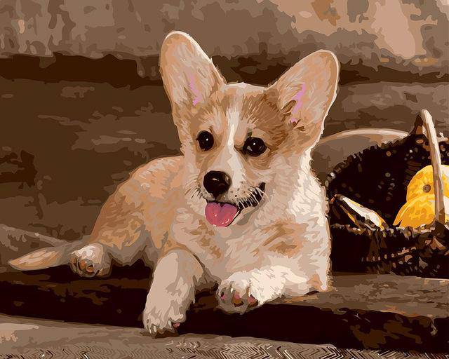 A Dog Posing Paint By Numbers Kit