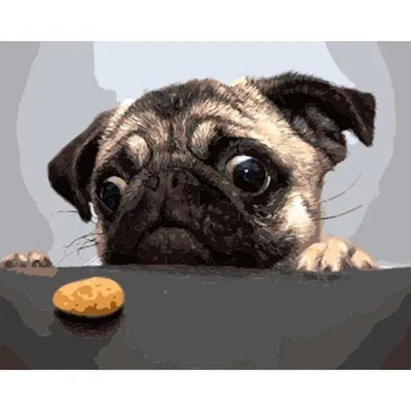 A Dog Want To Eat A Chips Paint By Numbers Kit