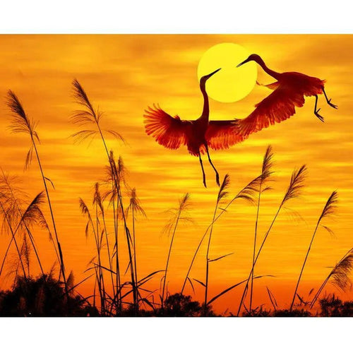 A Swan Couple At Sunset Paint By Numbers Kit