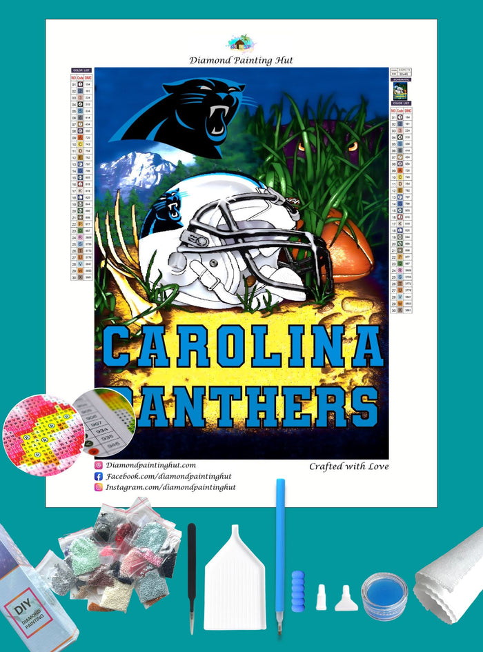 Panthers NFL Home Diamond Painting-Diamond Painting Hut