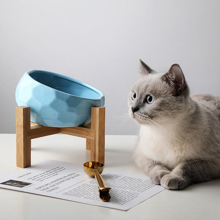 Creative pet bowl