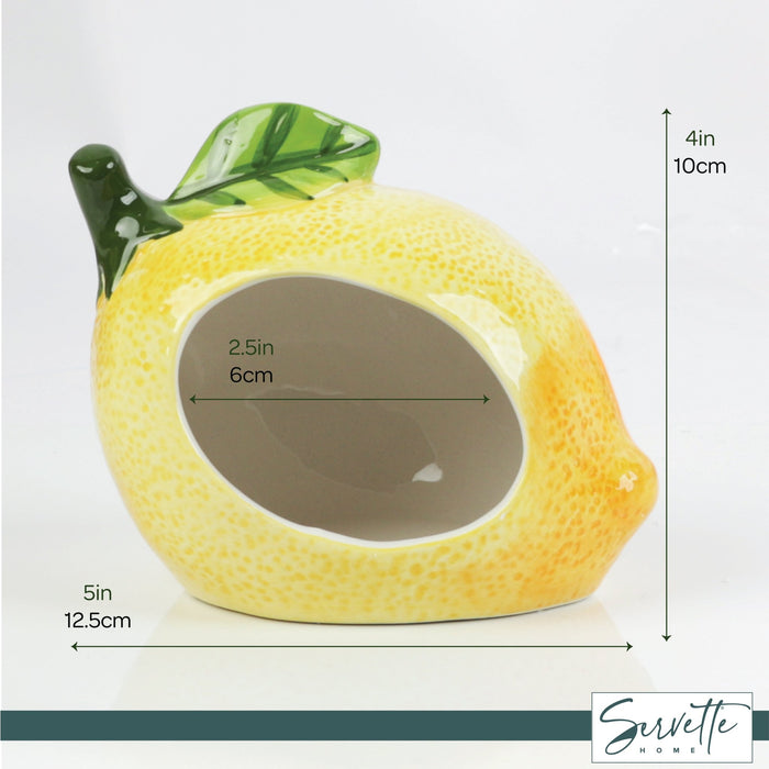 Lemon Scrubby Holder