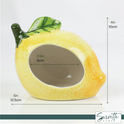 Lemon Scrubby Holder
