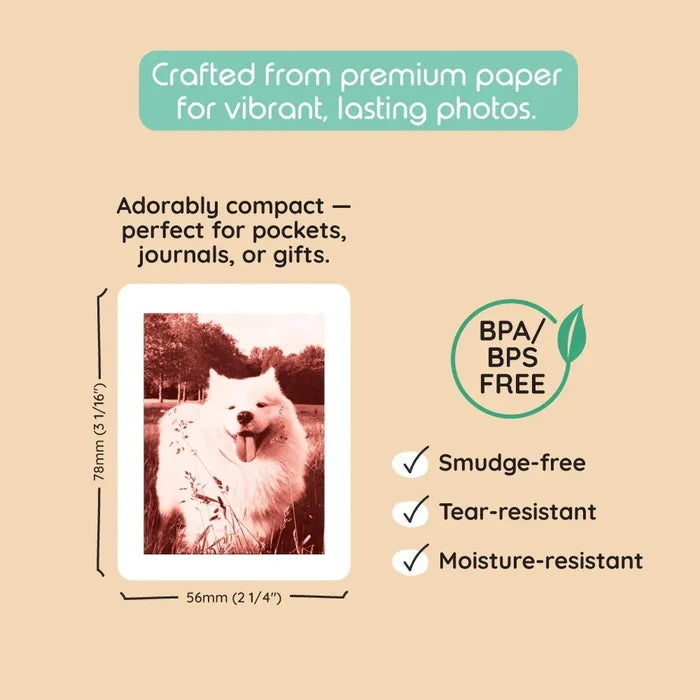 Model P2 Print Pack | 120 Prints