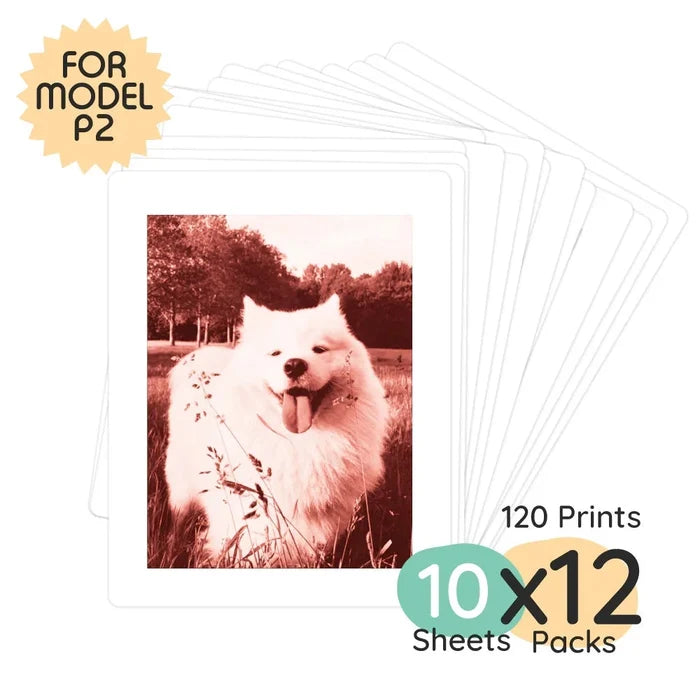 Model P2 Print Pack | 120 Prints