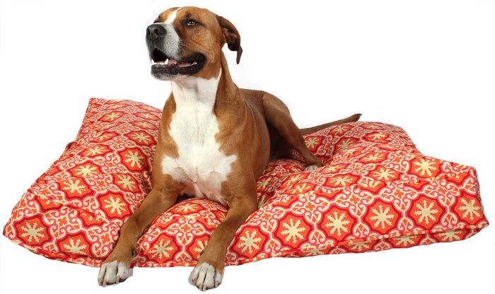 Dog sitting on a red patterned dog bed with a white background