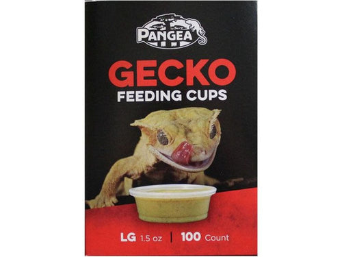 Pangea Large Gecko Feeding Cups - 100ct Pangea