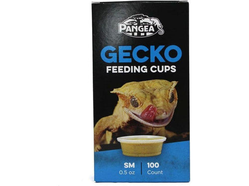Pangea Small Gecko Feeding Cups - 100ct Pangea
