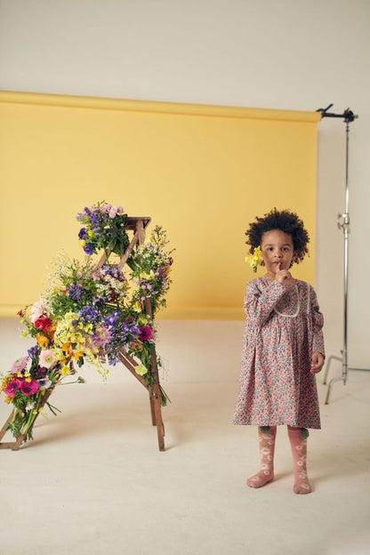 Roulotta Dress in Blush Floral World