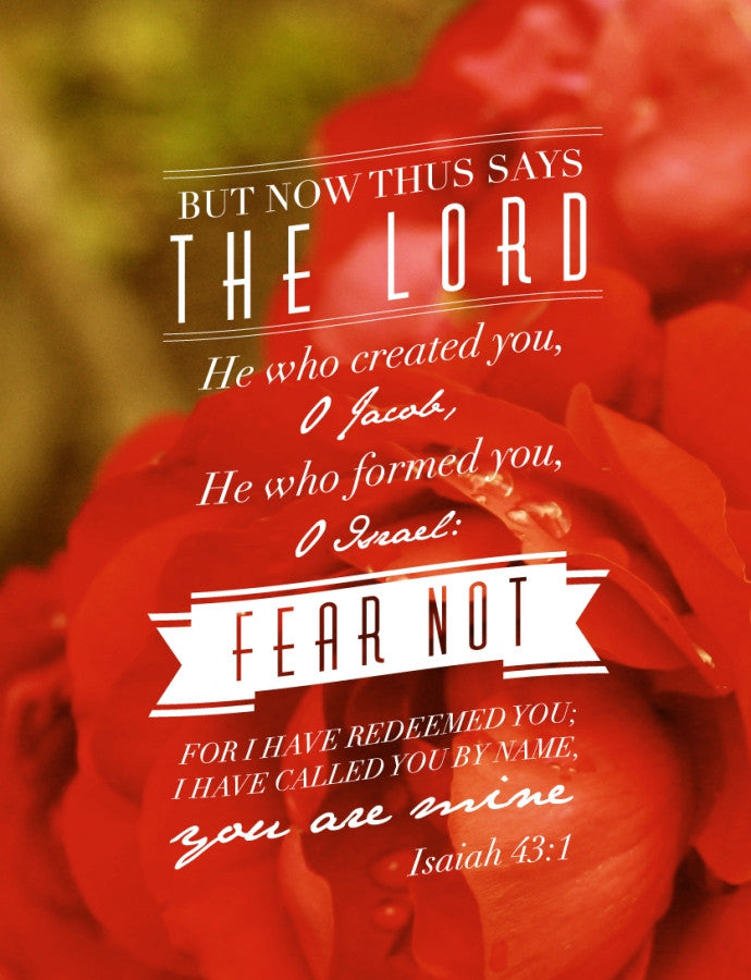 Isaiah 43:1 / Roses