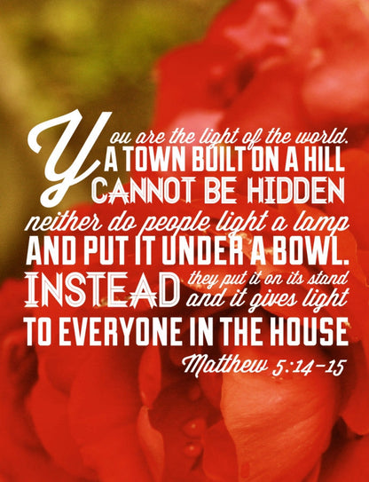 Matthew 5:14-15 / Roses