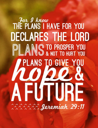 Jeremiah 29:11 / Roses