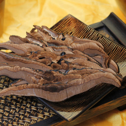 Sliced Black Lingzhi／Ganoderma Lucidum/reishi  永合丰 黑 灵芝片（10oz）