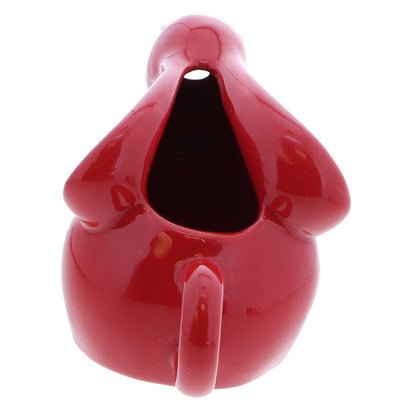 unique pitcher