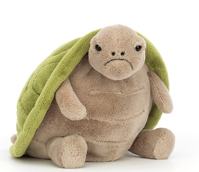 Timmy Turtle